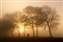 Bramley misty sunrise.jpg